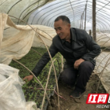 益阳大通湖区：扶贫帮困送温暖 精准扶贫暖人心