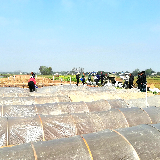 春耕时刻① | 赫山：干劲十足抢农时 春光里育秧忙