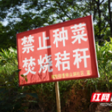 视频｜净！益阳高新区依法整治梓山湖周边48亩违规种植菜土