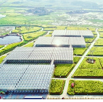 约起！2020年锦绣潇湘·多彩赫山·益阳高效油菜丰收节即将拉开序幕