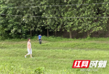 南县“铁娘子”防汛一线展英姿