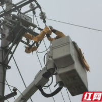 国网南县供电公司带电作业排故障 只为保供万家暖