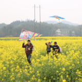桃江三堂街镇举办第二届花海风筝节
