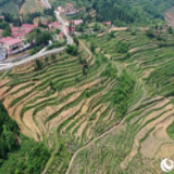 贵州大方:“筑巢酿蜜”酿出“沁口”甜蜜事