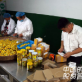 【中国的脱贫智慧】一个人 一朵菊 一座村