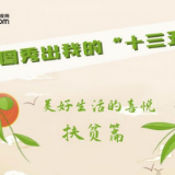 【回望“十三五”：我的收获与转变】4个励志故事，看脱贫攻坚如何留住美丽乡愁