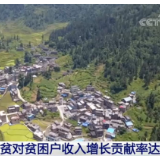农业农村部：产业扶贫对贫困户收入增长贡献率达57%
