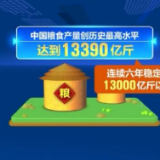 如何端牢“中国饭碗”？这组成绩告诉你