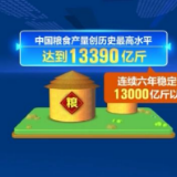 【在习近平新时代中国特色社会主义思想指引下】端牢14亿中国人的饭碗