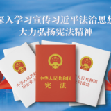 大力弘扬宪法精神 依法维护国家安全