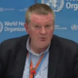 "任何人都会后悔把病毒同种族联系在一起"世卫组织为何要这样清晰表态