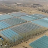 抢抓农时 各地春季农业生产有序推进