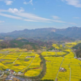 限流、AR测温……为了五一假期，各地景区拼了