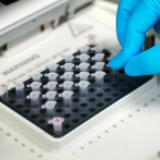 新冠疫苗临床试验志愿者:一切安好,就是长胖了