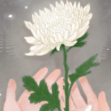 清明，思旧怀人