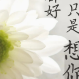 路过长安街，这一刻，泪目！