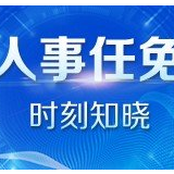 吉林舒兰市委书记李鹏飞被免职