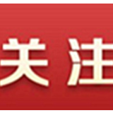 美国媒体:报告显示美新冠病毒检测存在混乱