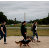 美对世卫组织挥舞霸凌大棒砸的是自己