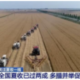 全国夏收已过两成 多措并举促颗粒归仓