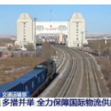 相关部门协调统筹多措并举 全力保障国际物流供应链畅通