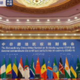 非洲观察丨团结抗疫合作典范 多国人士高度评价中非团结抗疫特别峰会