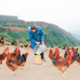 陕北张家墕村脱贫见闻录