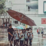 这把超超超超大号“雨伞”，刷屏了