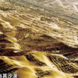 曾经的我和现在的我 大漠中的绿色奇迹