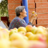 直播卖杏的八旬奶奶，透露“走红”真谛！