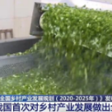 我国首次对乡村产业发展做出全面规划 聚焦二三产业发展