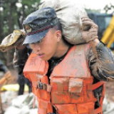 陆空协同战决口、徒步逆行战塌方,一线抗洪部队勇挑重担打硬仗!