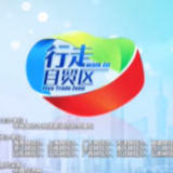【行走自贸区】云座谈广东自贸区:全方位推进 高质量构建标杆样本