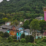 【西部开发新脉动】走进七彩部落 看湄潭茶旅融合之路