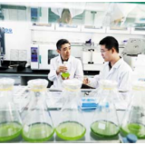 科研人员要把自立自强作为重要职责