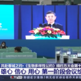 用“心”绘蓝图！《生物多样性公约》缔约方大会第一阶段会议取得了这些成果