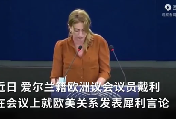 欧洲议员：欧洲要么放弃弱化美国的影响力，要么进一步被边缘化