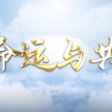 永作推动人类和平发展进步的中坚力量