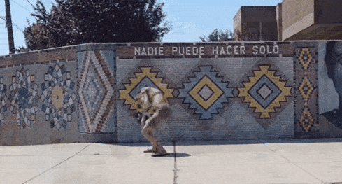 281 (1).gif