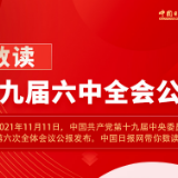 数读十九届六中全会公报