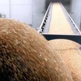 经济日报：科技创新为粮食减损降耗提供有力支撑