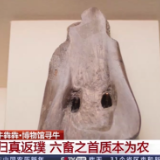 苗族银饰、汉代陶牛……非遗国宝传递牛年祝福