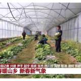 视频丨脱贫后第一个春节，乡亲们这么过！