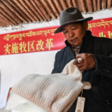 西藏民众话脱贫：从富口袋转向富脑袋
