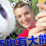 高山流水遇熊猫，英国小哥开启佛坪山居生活
