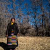 沙棘传奇——西藏隆子跨越半个世纪的生态革命