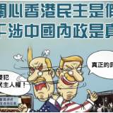 他们看香港,为何总是“选择性失明”
