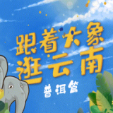 【跟着大象逛云南·“象”滇记】②普洱：“象”见恨晚的地方