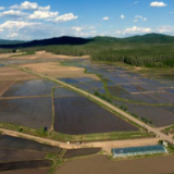 中科院白皮书：我国东北黑土地总面积109万平方千米