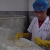 走进乡村看小康丨广西百乐村：好吃的螺蛳粉这样做 幸福的生活这样过
